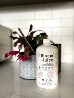 Bloom Juice - Blossom Boosting Fertilizer -Ed's plant shop bloom juice blossom boosting fertilizer 573816