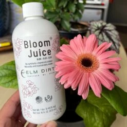 Bloom Juice - Blossom Boosting Fertilizer -Ed's plant shop bloom juice blossom boosting fertilizer 723453