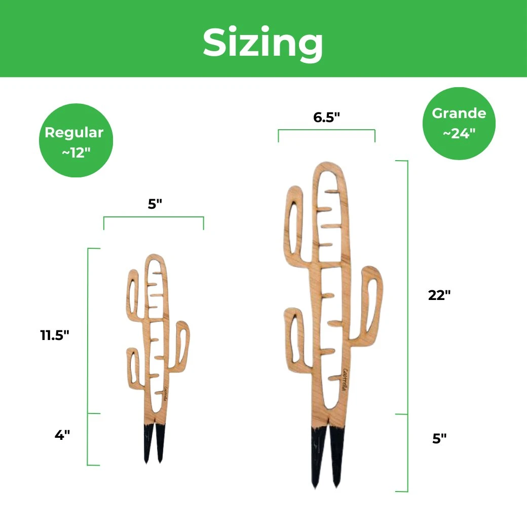 Cactrella - Plant Trellis Inspired By The Barrel Cactus 8 Cactrella - Plant Trellis Inspired By The Barrel Cactus - Image 6