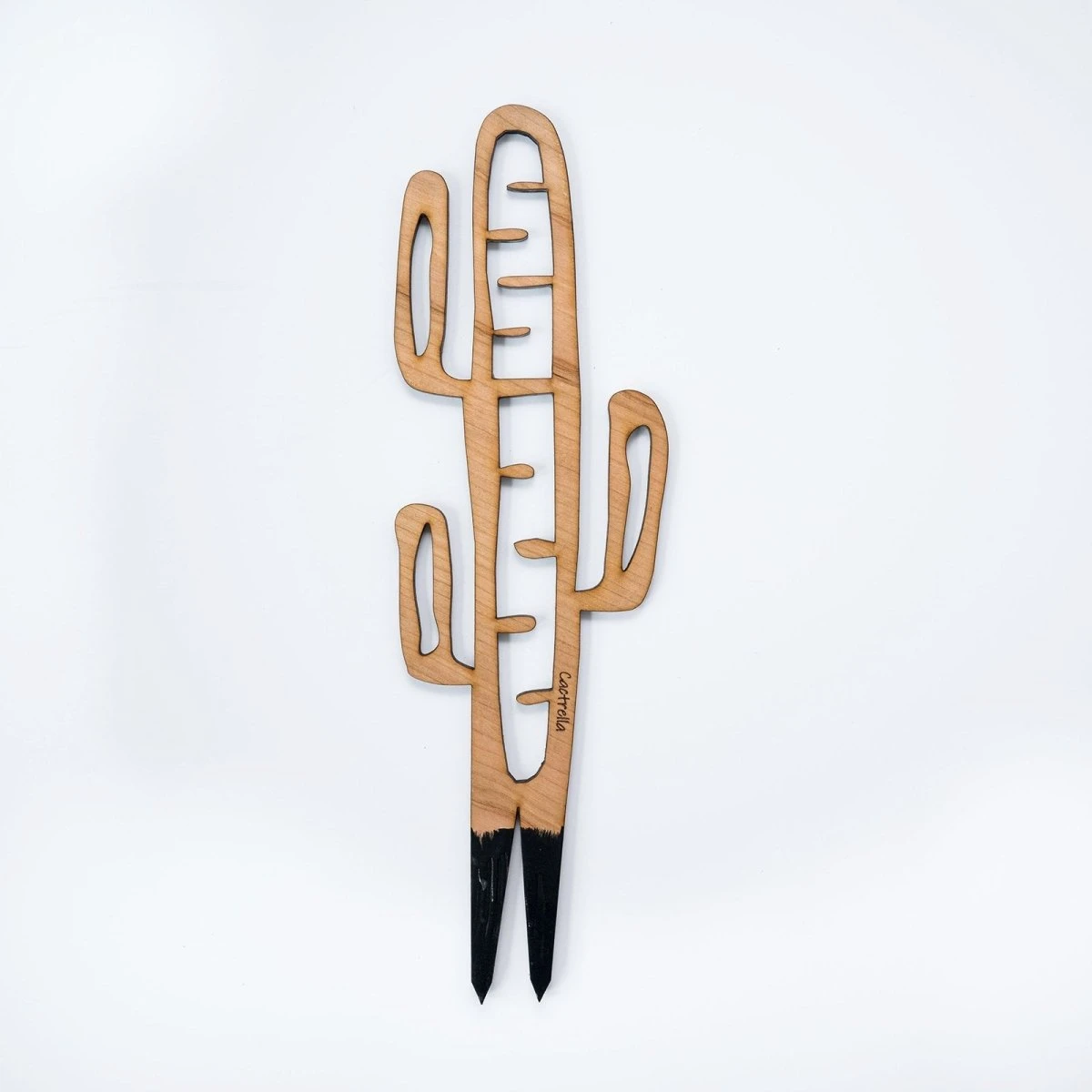 Cactrella - Plant Trellis Inspired By The Barrel Cactus 3 Cactrella - Plant Trellis Inspired By The Barrel Cactus