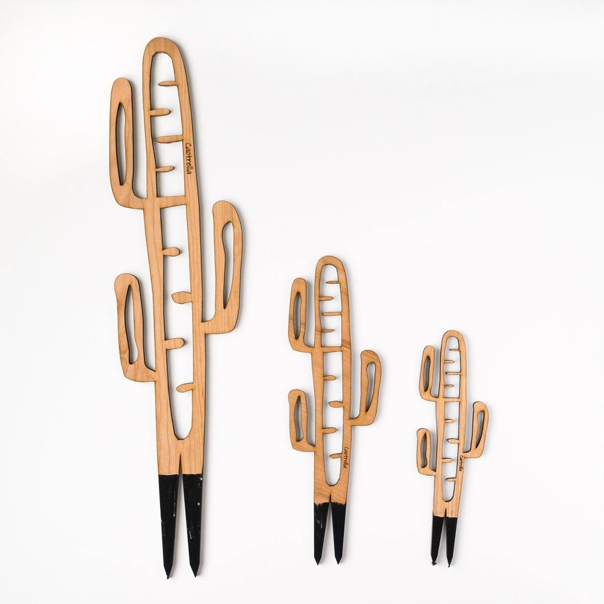 Cactrella - Plant Trellis Inspired By The Barrel Cactus 12 Cactrella - Plant Trellis Inspired By The Barrel Cactus - Image 10