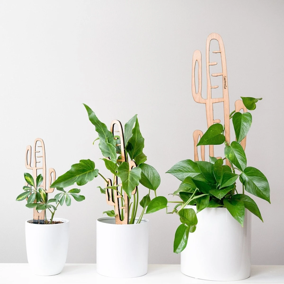 Cactrella - Plant Trellis Inspired By The Barrel Cactus 11 Cactrella - Plant Trellis Inspired By The Barrel Cactus - Image 9