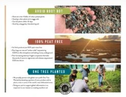 Calcined Clay – Premium Soil Amendment For Indoor Plants 19 Calcined Clay – Premium Soil Amendment For Indoor Plants -Ed's plant shop calcined clay premium soil amendment for indoor plants 638169