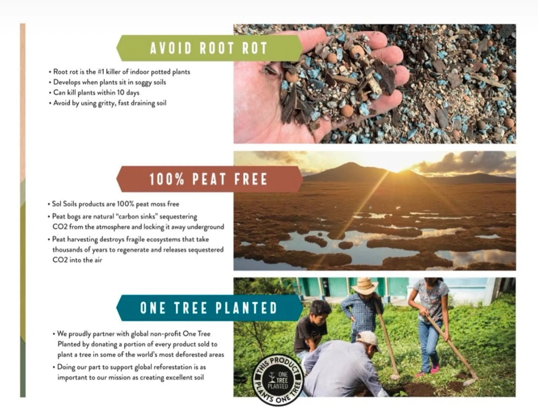 Calcined Clay – Premium Soil Amendment For Indoor Plants 10 Calcined Clay – Premium Soil Amendment For Indoor Plants - Image 8