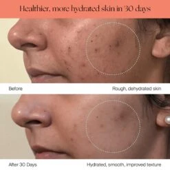 Canopy Large Room Humidifier: Hydrate Plants, Skin & Space 30 Canopy Large Room Humidifier: Hydrate Plants, Skin & Space -Ed's plant shop canopy large room humidifier hydrate plants skin space 635644