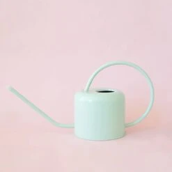 Cascade Stainless Steel Watering Can - 1 Liter