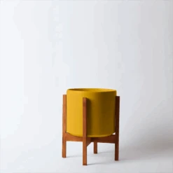 Ceramic Cylinder Planter By Solid Goods With Optional Mahogany Stand 35 Ceramic Cylinder Planter By Solid Goods With Optional Mahogany Stand -Ed's plant shop ceramic cylinder planter by solid goods with optional mahogany stand 1193708