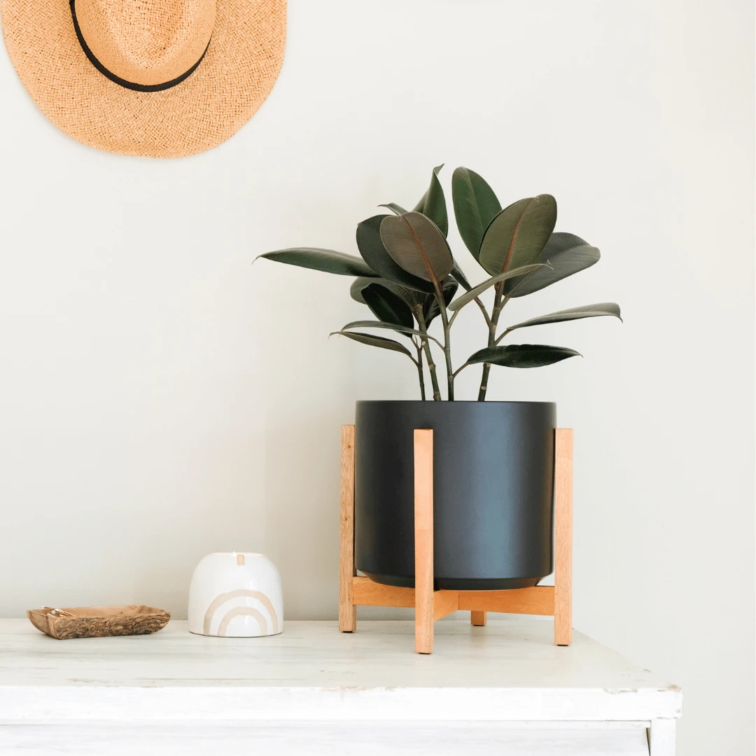 Ceramic Cylinder Planter By Solid Goods With Optional Mahogany Stand 12 Ceramic Cylinder Planter By Solid Goods With Optional Mahogany Stand - Image 10