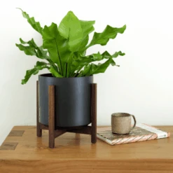 Ceramic Cylinder Planter By Solid Goods With Optional Mahogany Stand 30 Ceramic Cylinder Planter By Solid Goods With Optional Mahogany Stand -Ed's plant shop ceramic cylinder planter by solid goods with optional mahogany stand 3361831