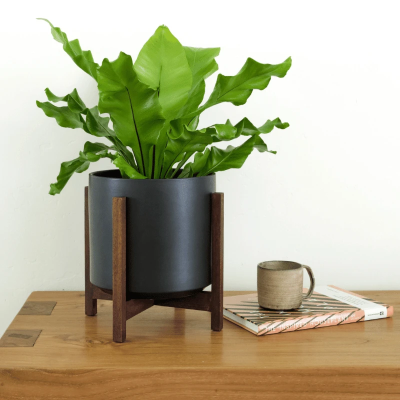 Ceramic Cylinder Planter By Solid Goods With Optional Mahogany Stand 11 Ceramic Cylinder Planter By Solid Goods With Optional Mahogany Stand - Image 9