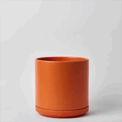 Ceramic Cylinder Planters With Saucer – Modern Indoor & Outdoor Pots In Multiple Sizes -Ed's plant shop ceramic cylinder planters with saucer modern indoor outdoor pots in multiple sizes 3938656