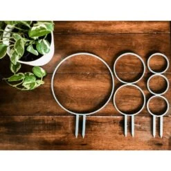 Circle Houseplant Trellis -Ed's plant shop circle houseplant trellis 824814