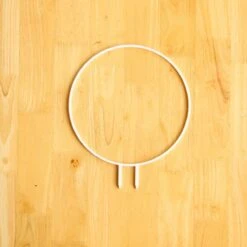 Circle Houseplant Trellis -Ed's plant shop circle houseplant trellis 861605