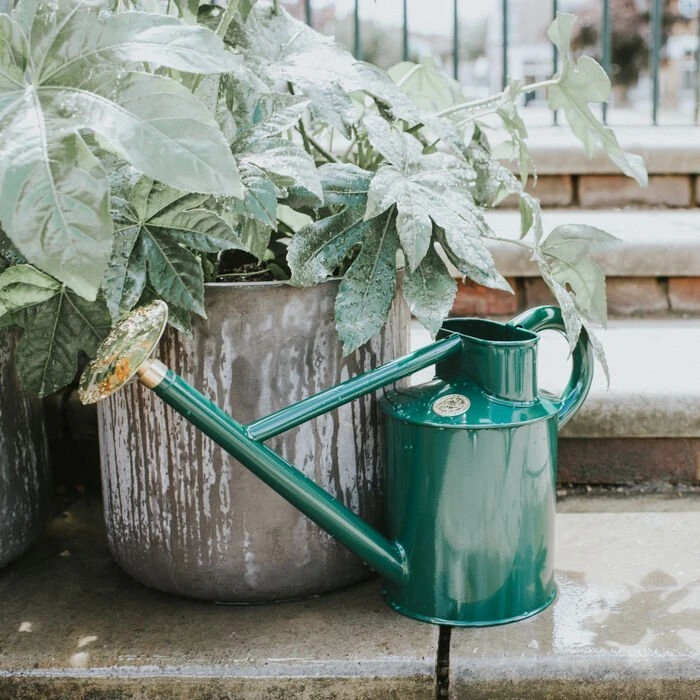 Classic Large Haws Watering Can – Bearwood Brook (1 Or 2 Gallon) 3 Classic Large Haws Watering Can – Bearwood Brook (1 Or 2 Gallon)