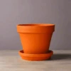 Classic Terracotta Planter Pot With Matching Water Saucer