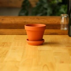 Classic Terracotta Planter Pot With Matching Water Saucer -Ed's plant shop classic terracotta planter pot with matching water saucer 521547