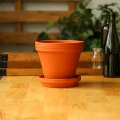 Classic Terracotta Planter Pot With Matching Water Saucer -Ed's plant shop classic terracotta planter pot with matching water saucer 640965