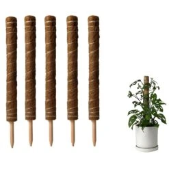 Coco Coir Plant Support Pole- Biodegradable Climbing Plant Stake (Small) -Ed's plant shop coco coir plant support pole biodegradable climbing plant stake small 755015