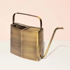Deco Modern Watering Can 3 Liter | Handcrafted Stainless Steel Watering Can -Ed's plant shop deco modern watering can 3 liter online only handcrafted stainless steel watering can 396879