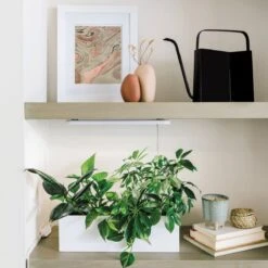 Deco Modern Watering Can 3 Liter | Handcrafted Stainless Steel Watering Can -Ed's plant shop deco modern watering can 3 liter online only handcrafted stainless steel watering can 945976