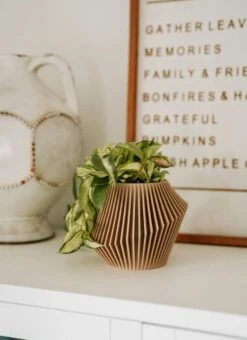 Disc Indoor Modern Style Planter - Various Sizes And Colors -Ed's plant shop disc indoor modern style planter various sizes and colors 198701