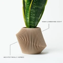 Disc Indoor Modern Style Planter - Various Sizes And Colors -Ed's plant shop disc indoor modern style planter various sizes and colors 288287