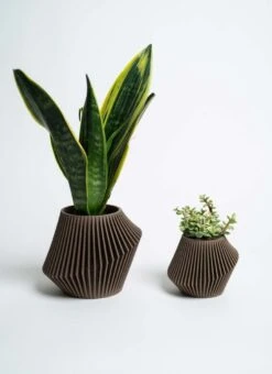 Disc Indoor Modern Style Planter - Various Sizes And Colors -Ed's plant shop disc indoor modern style planter various sizes and colors 456251
