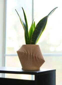 Disc Indoor Modern Style Planter - Various Sizes And Colors -Ed's plant shop disc indoor modern style planter various sizes and colors 552109