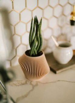 Disc Indoor Modern Style Planter - Various Sizes And Colors -Ed's plant shop disc indoor modern style planter various sizes and colors 807629