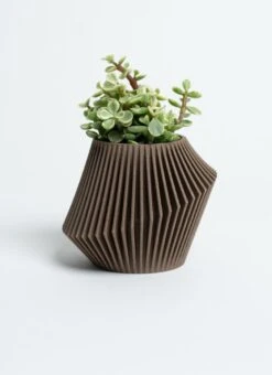 Disc Indoor Modern Style Planter - Various Sizes And Colors -Ed's plant shop disc indoor modern style planter various sizes and colors 855654