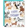 Dogs Birthday Card -Ed's plant shop dogs birthday card 820671