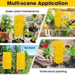 Double Sided Sticky Traps - Gnat Killer For Plants- 10 Pack 13 Double Sided Sticky Traps - Gnat Killer For Plants- 10 Pack -Ed's plant shop double sided sticky traps gnat killer for plants 5 pack 972010