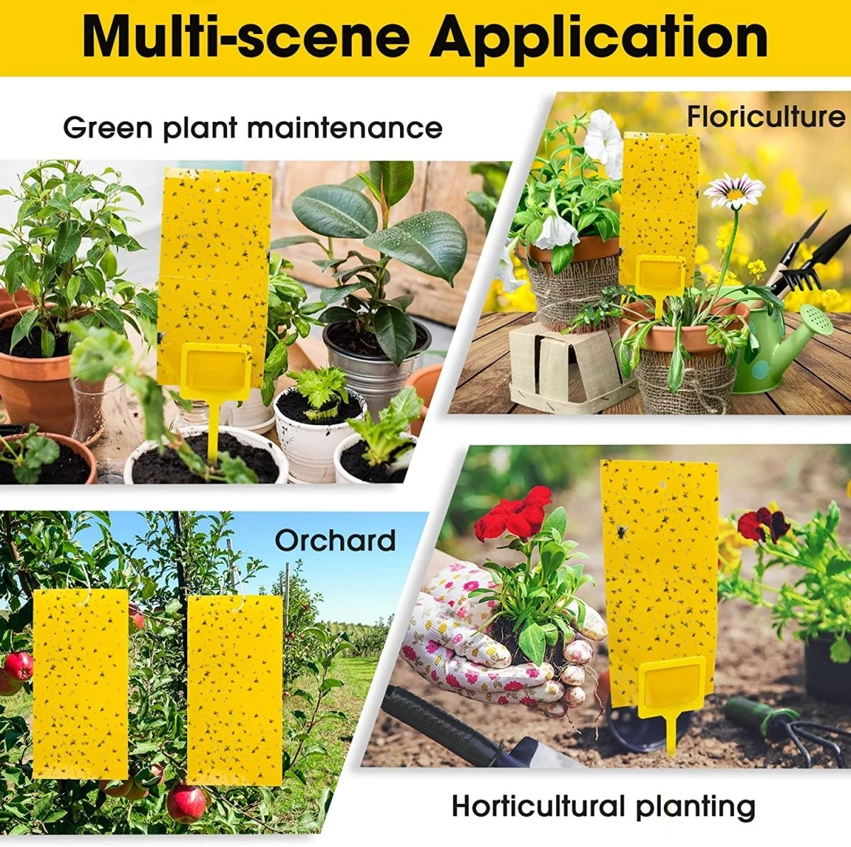 Double Sided Sticky Traps - Gnat Killer For Plants- 10 Pack 8 Double Sided Sticky Traps - Gnat Killer For Plants- 10 Pack - Image 6