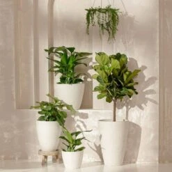 Dryades White Pot - 9.4" -Ed's plant shop dryades white pot 94 274204