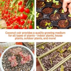 Eco Friendly Coco Coir - Organic Peat Moss -Ed's plant shop eco friendly coco coir organic peat moss 713923