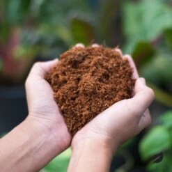 Eco Friendly Coco Coir - Organic Peat Moss -Ed's plant shop eco friendly coco coir organic peat moss 744286