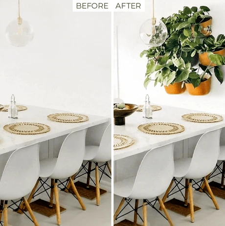 Eco Wall Planter By WallyGrow – Easy Vertical Garden For Indoors (Mustard) 6 Eco Wall Planter By WallyGrow – Easy Vertical Garden For Indoors (Mustard) - Image 4