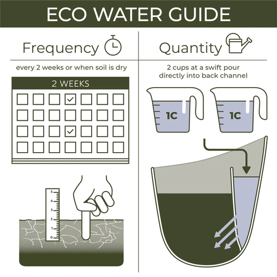 Eco Wall Planter By WallyGrow – Easy Vertical Garden For Indoors (Mustard) 5 Eco Wall Planter By WallyGrow – Easy Vertical Garden For Indoors (Mustard) - Image 3