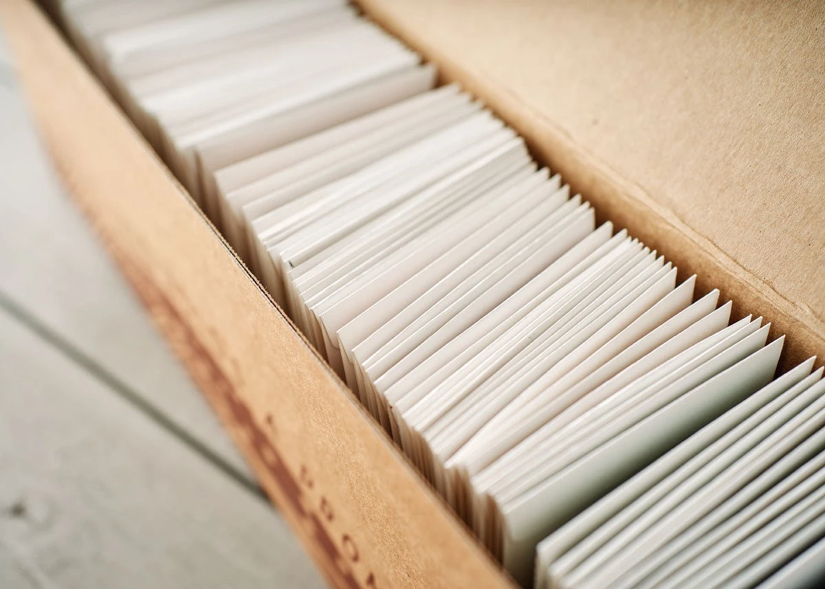 Emergency Seed Bank - Large - Organic Heirloom 6 Emergency Seed Bank - Large - Organic Heirloom - Image 4