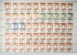 Emergency Seed Bank - Large - Organic Heirloom 11 Emergency Seed Bank - Large - Organic Heirloom -Ed's plant shop emergency seed bank large organic heirloom 6630468