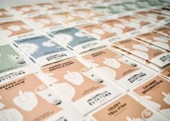 Emergency Seed Bank - Large - Organic Heirloom 14 Emergency Seed Bank - Large - Organic Heirloom -Ed's plant shop emergency seed bank large organic heirloom 7041407