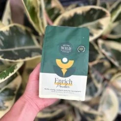 Enrich Powder - Houseplant Fertilizer By We The Wild (14 Oz) -Ed's plant shop enrich powder houseplant fertilizer by we the wild 14 oz 821377