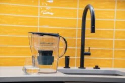 Epic Nano Pitcher Replacement Filter -Ed's plant shop epic nano pitcher replacement filter 238566