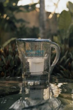 Epic Nano Pitcher Replacement Filter -Ed's plant shop epic nano pitcher replacement filter 828659