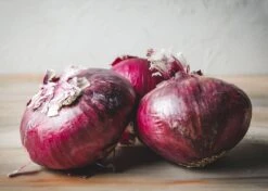 Family Pizza Night - Seed Collection -Ed's plant shop family pizza night seed collection 2313610