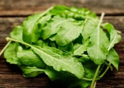 Family Pizza Night - Seed Collection -Ed's plant shop family pizza night seed collection 8406705