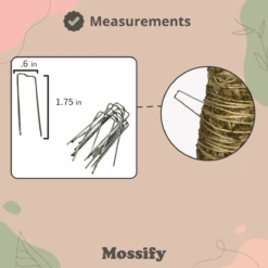 Floral Greening Pins (100-Pack) – Stainless Steel Pins For Moss Poles & Wreaths 12 Floral Greening Pins (100-Pack) – Stainless Steel Pins For Moss Poles & Wreaths -Ed's plant shop floral greening pins 100 pack stainless steel pins for moss poles wreaths 7373782