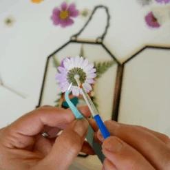 Framed Pressed Flowers Kit 11 Framed Pressed Flowers Kit -Ed's plant shop framed pressed flowers kit 152764