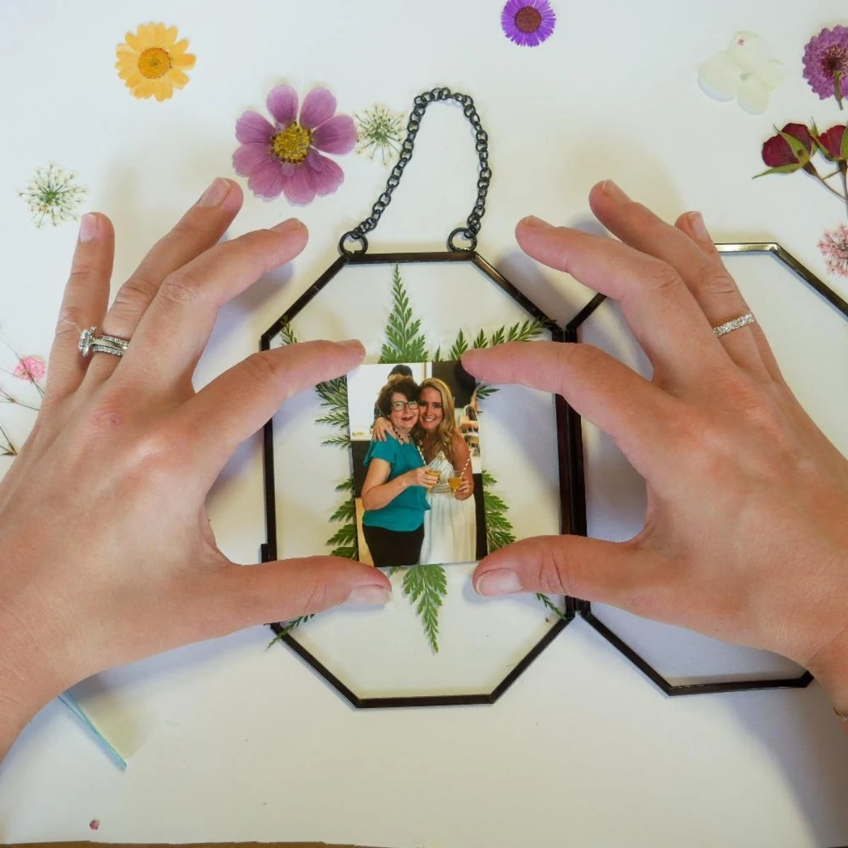 Framed Pressed Flowers Kit 7 Framed Pressed Flowers Kit - Image 5