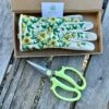 Garden Gift Box - Gloves And Garden Snips -Ed's plant shop garden gift box gloves and garden snips 259161
